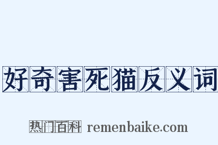 好奇害死猫反义词是什么意思的图片
